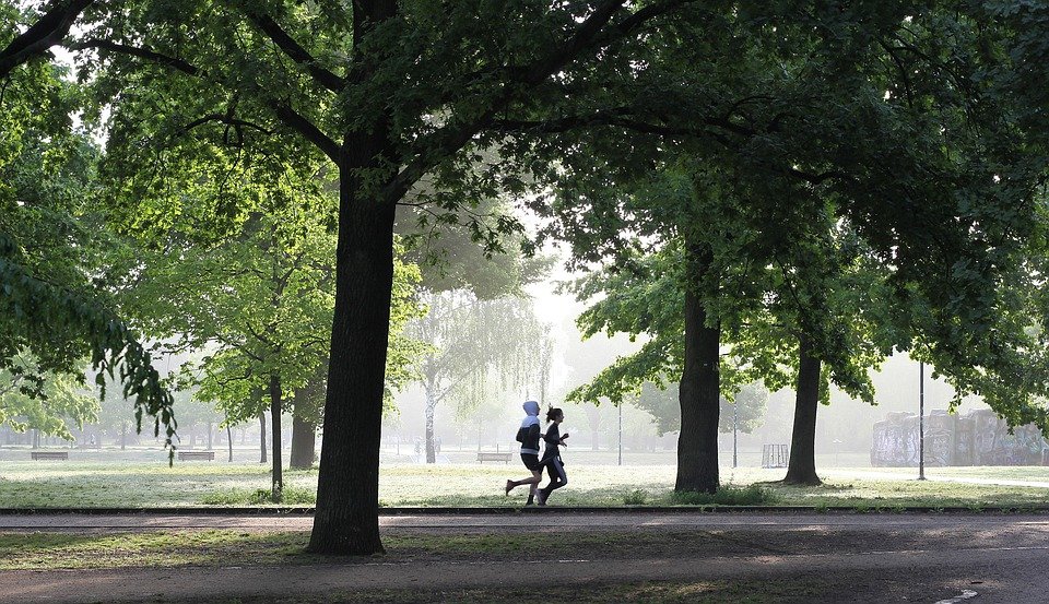 Dos personas corriendo en un parque 