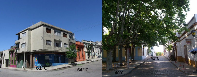 Calles con y sin sombra - diferencias en la cantidad de grados centígrados