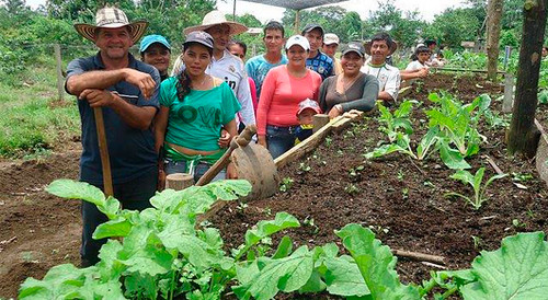 agricultura familiar