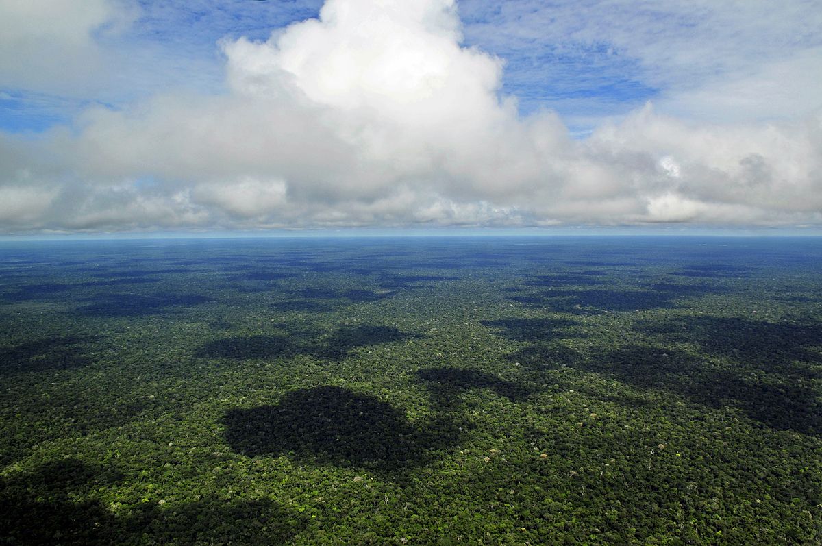 Foto aérea de la Amazonia. Se advierte exhuberante vegetación, cielo y nubes
