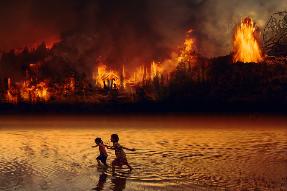 Incendio forestal 