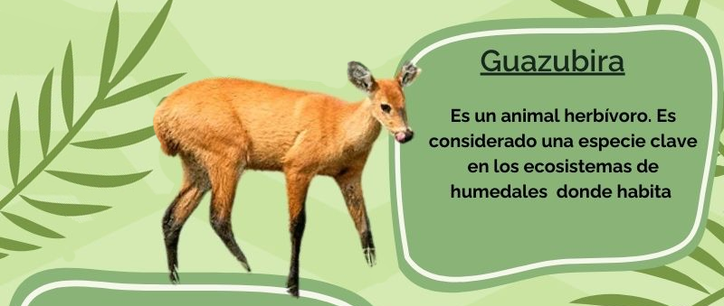 Guazubirá