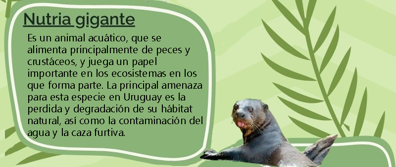 Nutria gigante