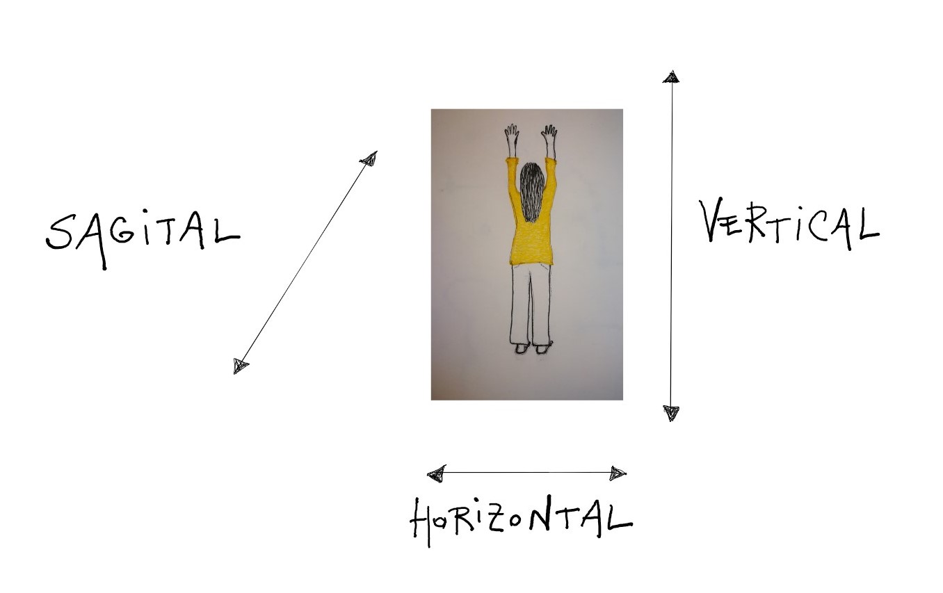 Dibujo de figura humana de pie. Se señalan con líneas las tres dimensiones básicas de movimiento