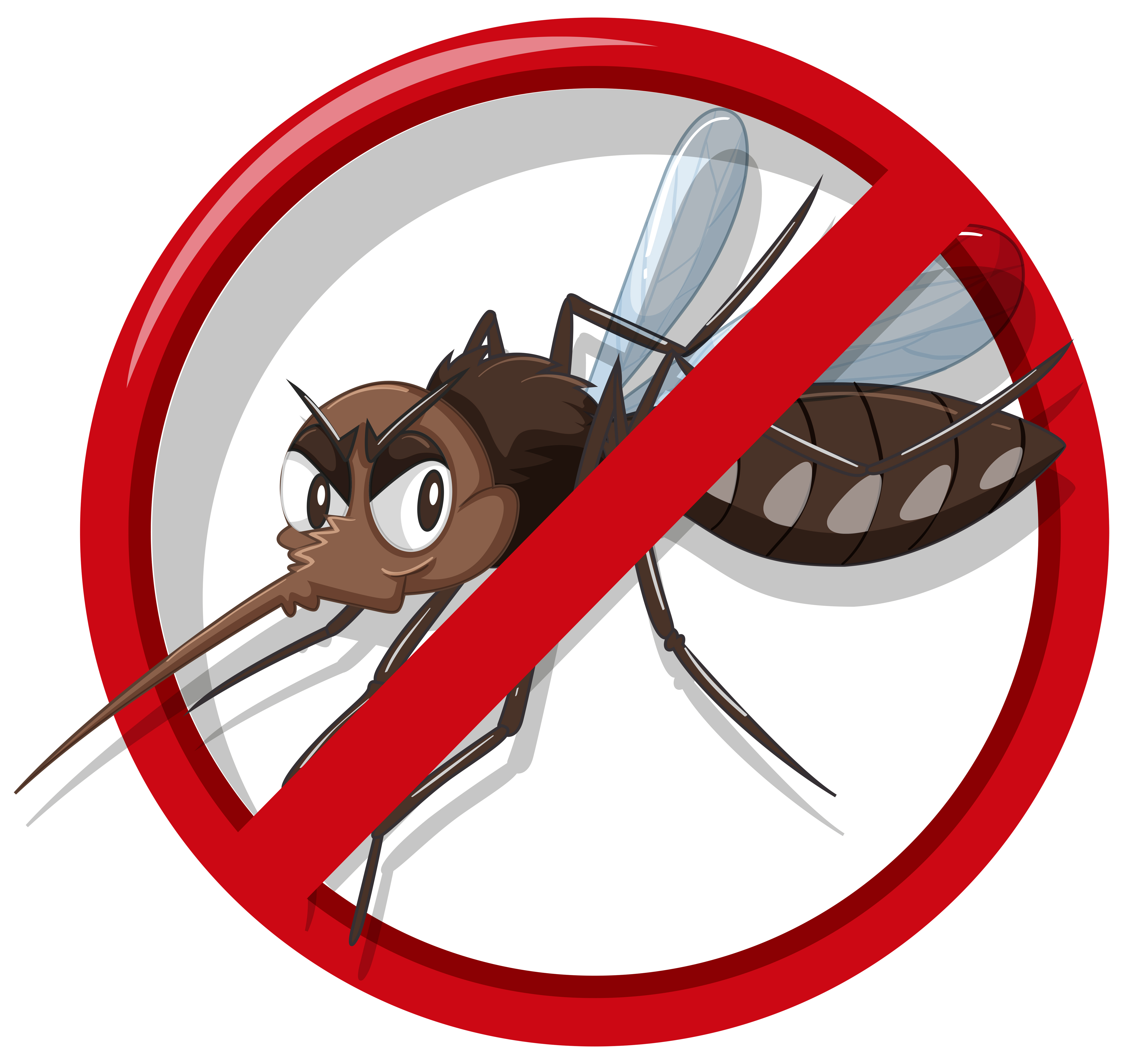 Mosquito Aedes Aegypti