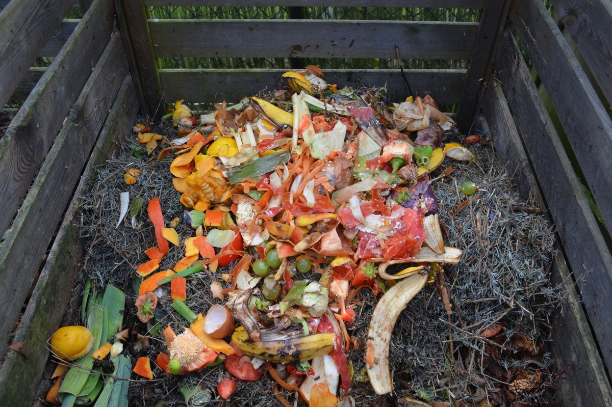 Compost