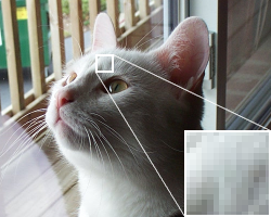 Foto de un gato en el que se señala el detalle de un píxel