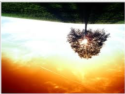Paisaje con árbol sobre pasto y fondo de cielo visto de forma invertida (boca abajo y de derecha a izquierda en relación al dibujo original en la consigna)