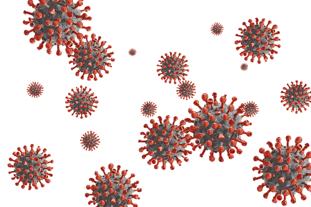 imagen de virus del Covid 19