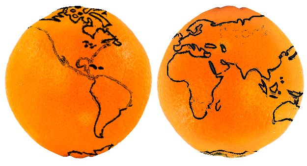 Dibujo en naranjas