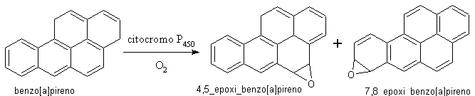 Reacción de epoxidación del benzopireno