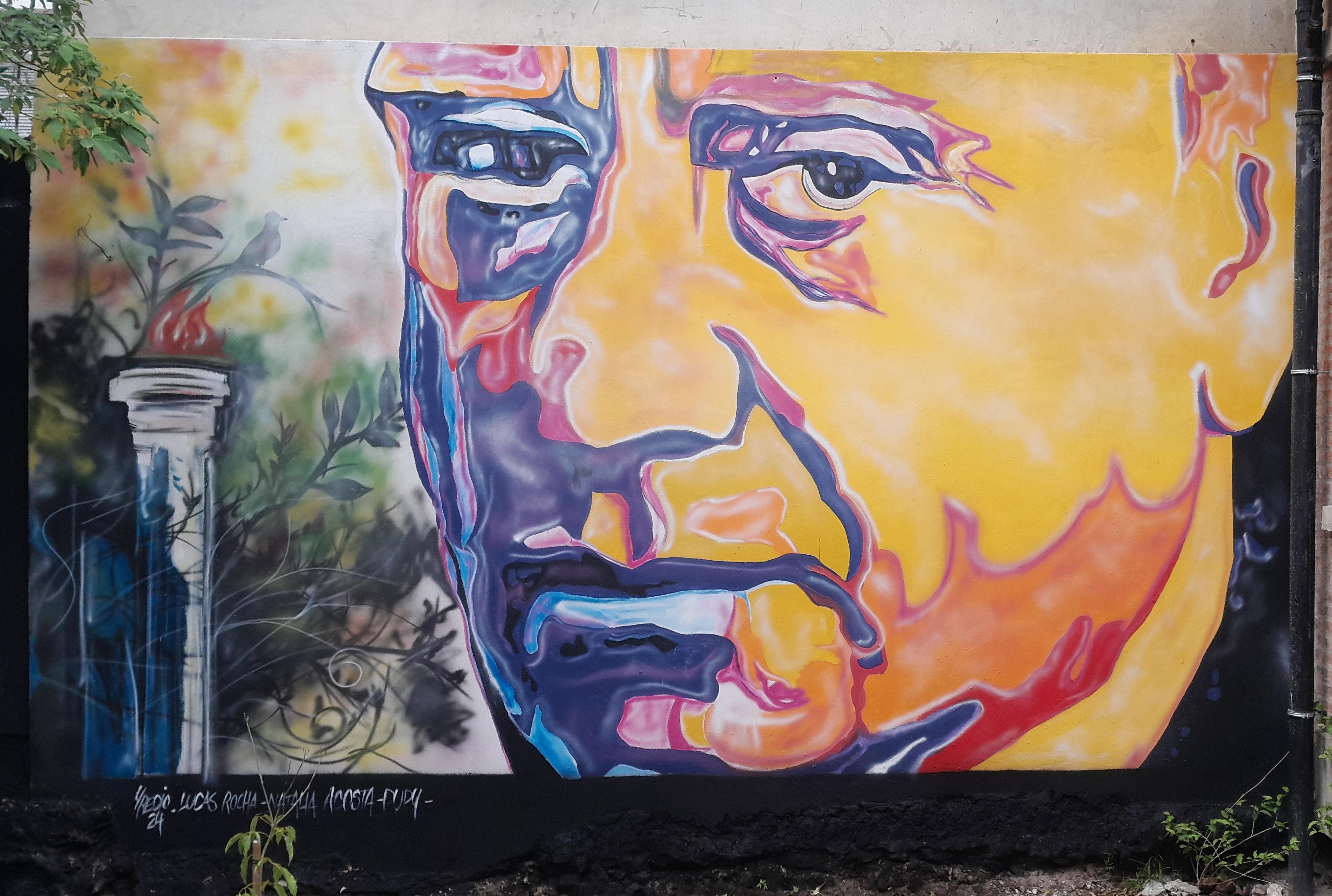 Mural del rostro de Clemente Estable realizado en un muro del IFD de Paysandú