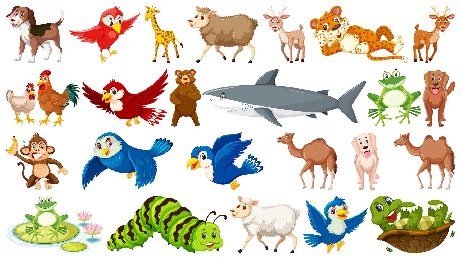 Los animales poseen características comunes, aquí explicamos algunas.