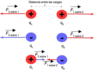 Si no te queda claro, no te preocupes, te lo explicaré de forma mas simple:  La carga 1  ejerce fuerza sobre la carga 2, y se representa en la carga 2. Simultaneamente, la carga 2 ejerce fuerza, sobre la carga 1, con igual valor pero sentido contrario, y se representa sobre la carga 1.