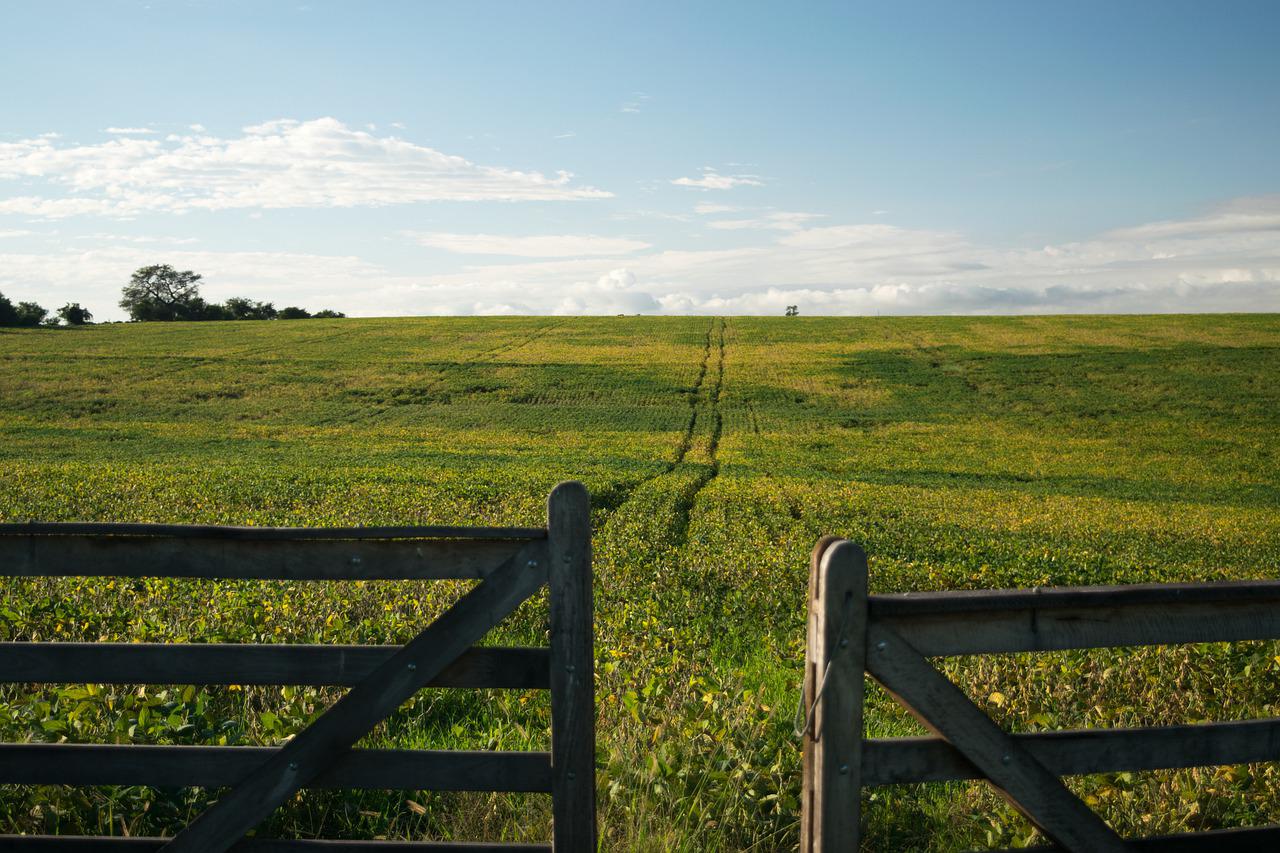 Campo con trillo marcado y porteras abiertas 