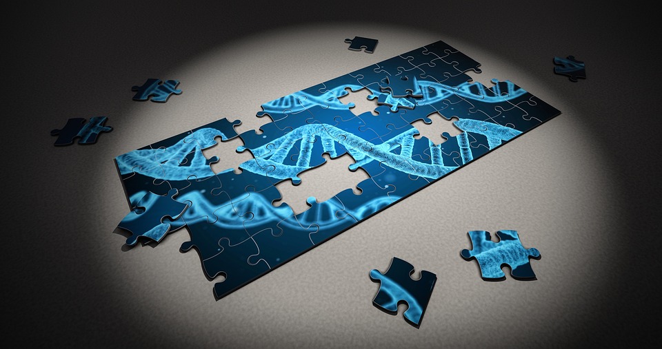 Puzzle al que le faltan algunas piezas