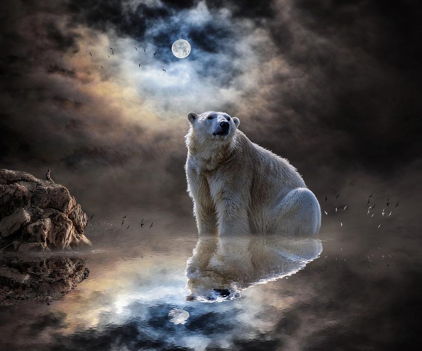 Oso polar en un paisaje de fantasía  