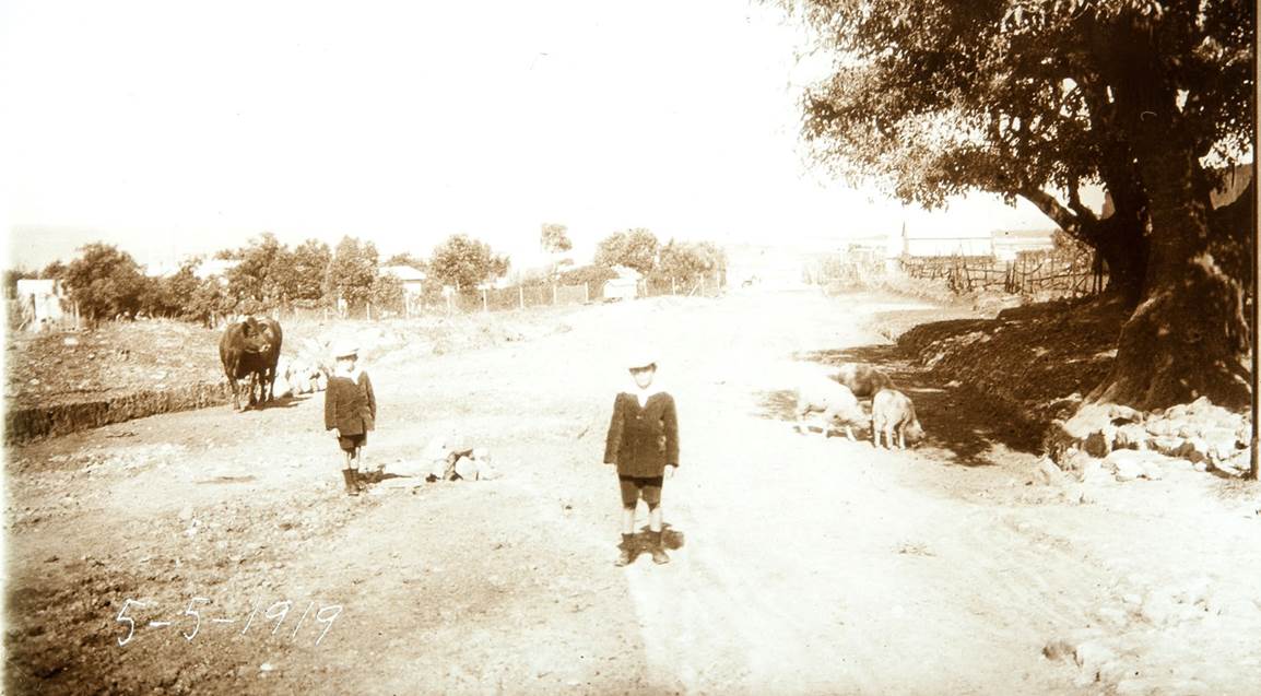 Punta Brava (Punta Carretas). Vista del barrio a principios de 1900