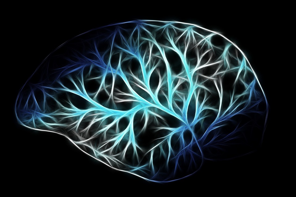 Cerebro con apreciación de redes neuronales 