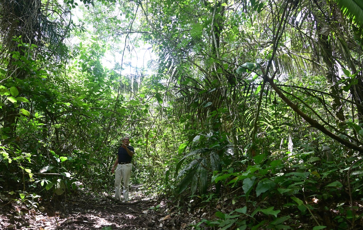 Selva amazónica