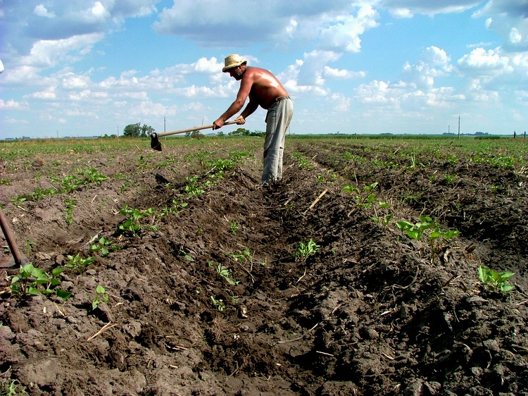 agricultura en Uruguay