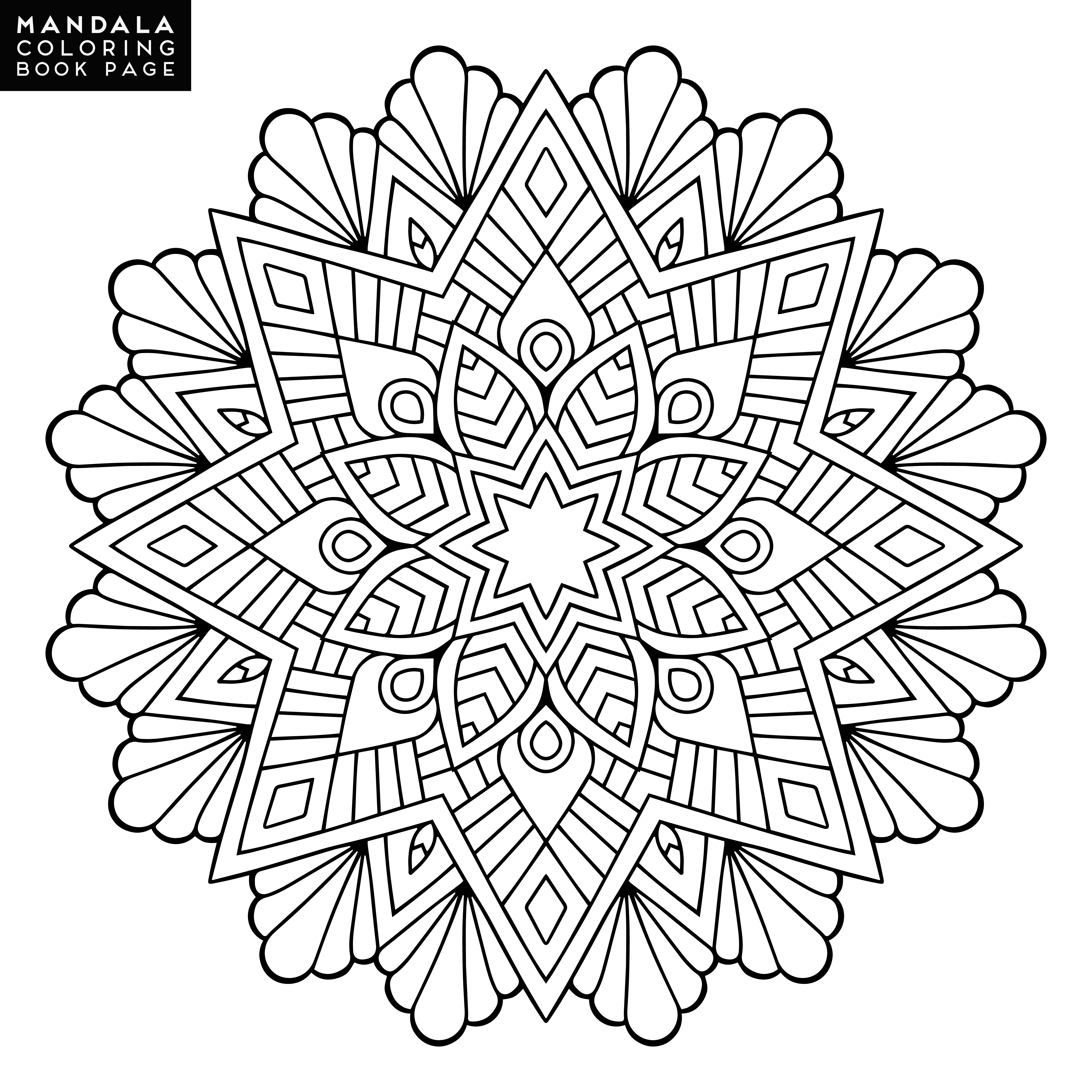 Mandala circular líneas