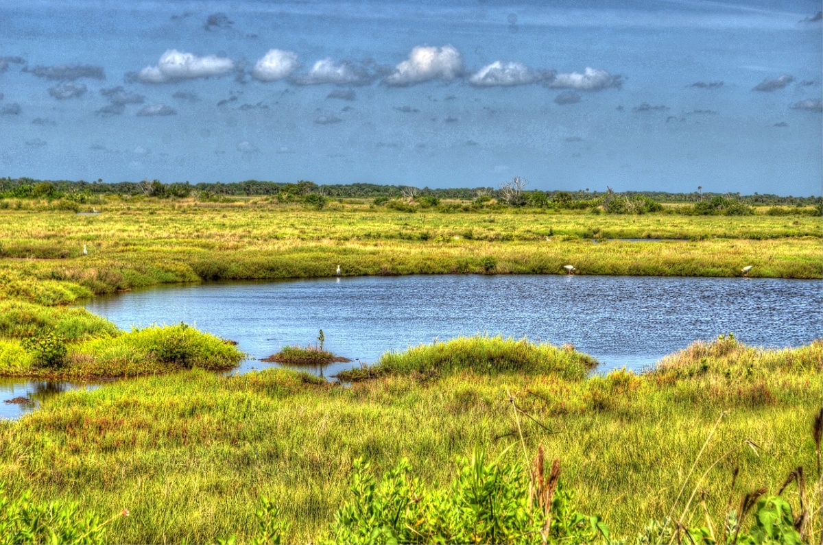 Costa este del estado de Florida