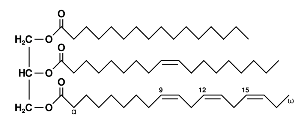 Estructura química de un triglicérido