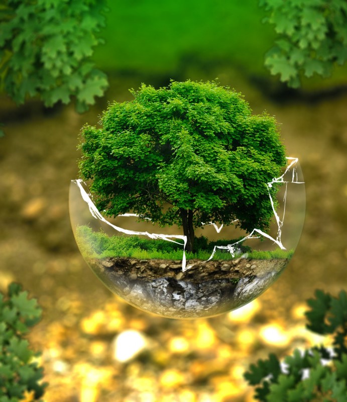La ecología