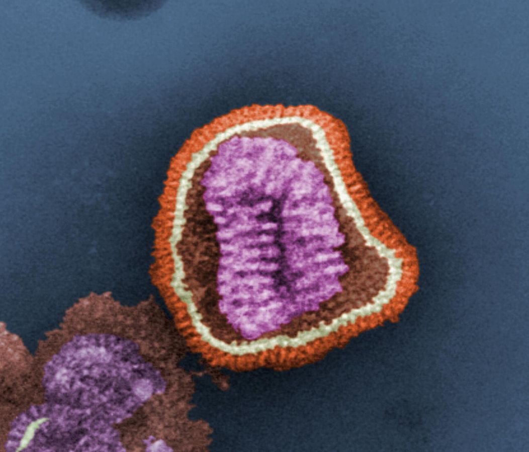 Fotografía microscópica de Partícula viral del virus de la gripe.