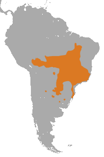 distribución de aguará guazú