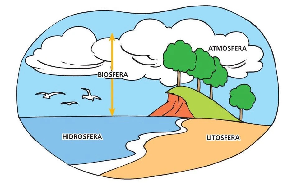 Dibujo que muestra la biósfera en relación con la hidrósfera, listósfera y atmósfera