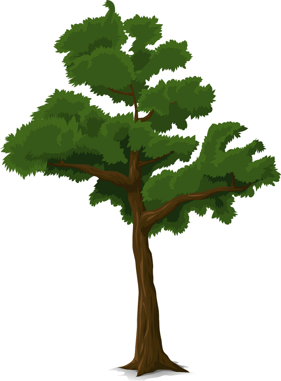 Árbol