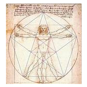 En 1490 Leonardo da Vinci diseño un esquema ideal a ser presentado en el libro de proporciones del cuerpo humano de Vitrubio