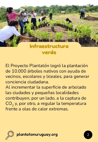 Información sobre Plantatón