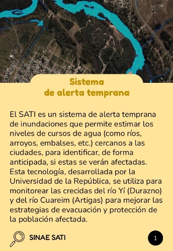 SINAE SATI información