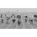 Campesinos trabajando la tierra