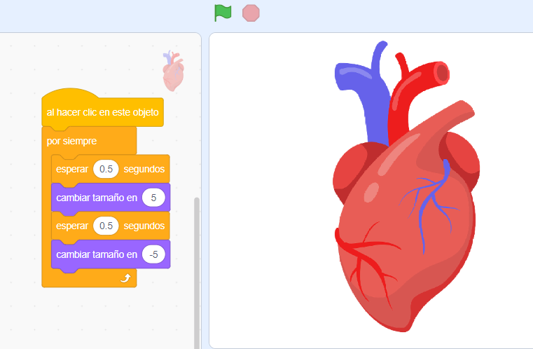 Captura de programación en Scratch: Al hacer clic en el objeto/por siempre/esperar0.5/aumentar el tamaño en 5/esperar 0.5 disminuir el tamaño en 5