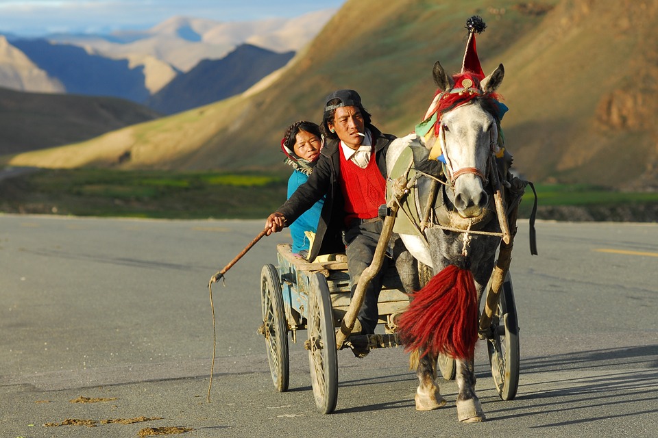 Hombre y mujer en carro de caballo en la zona andina 
