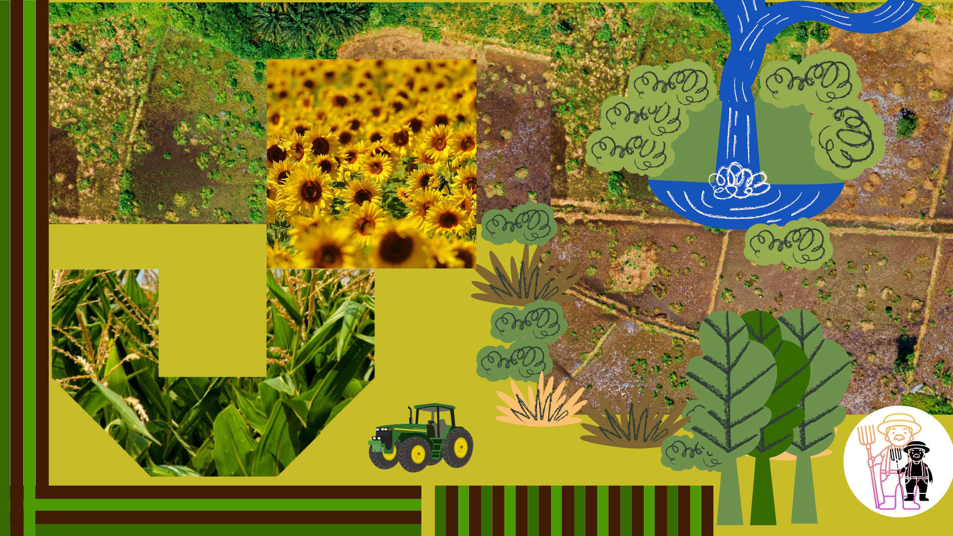 plano de campo con distintos cultivos