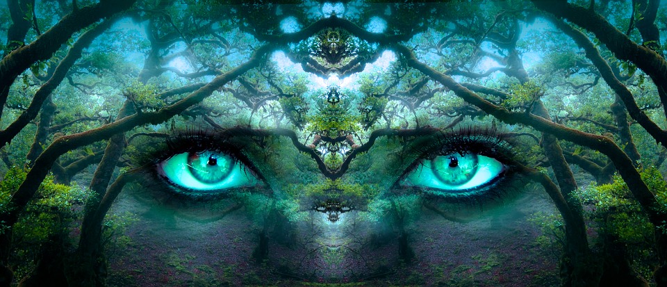 Collage fantasía de ojos con y frente con pensamiento de bosques..