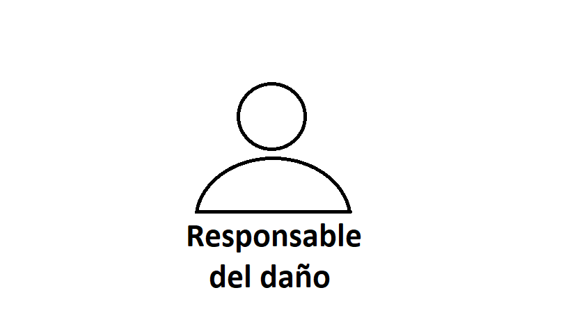 Rol - responsable del daño