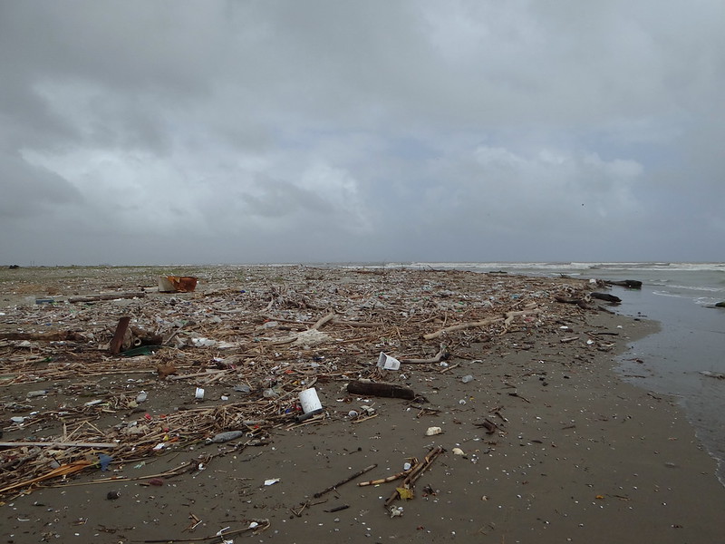 La gran cantidad de desechos sólidos y líquidos que se arrojan al mar desde sus costas genera focos importantes de contaminación.