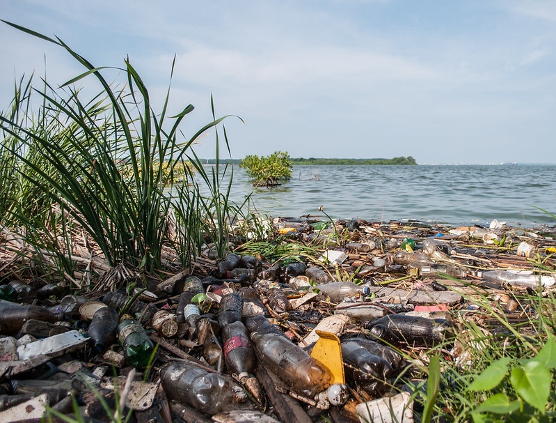 Una extensa área del golfo de México es una zona muerta debido a la escasez de oxígeno disuelto en el agua, causada por el fenómeno de eutrofización como consecuencia de la gran cantidad de residuos de agroquímicos arrastrados al golfo por el río Misisipí.