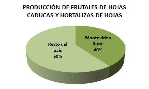 gráfica de producción de frutales y hortalizas