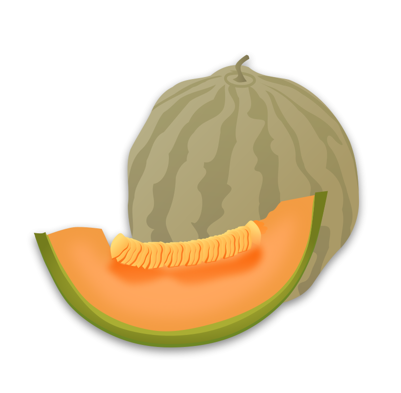 melón