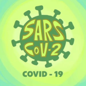 ¿Qué es el coronavirus? - Elizabeth Cox