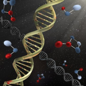 La genética y la bioética. Ciencia versus ficción