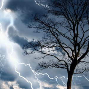 Elementos del tiempo atmosférico