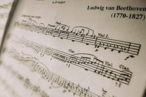 Beethoven hace historia en Viena